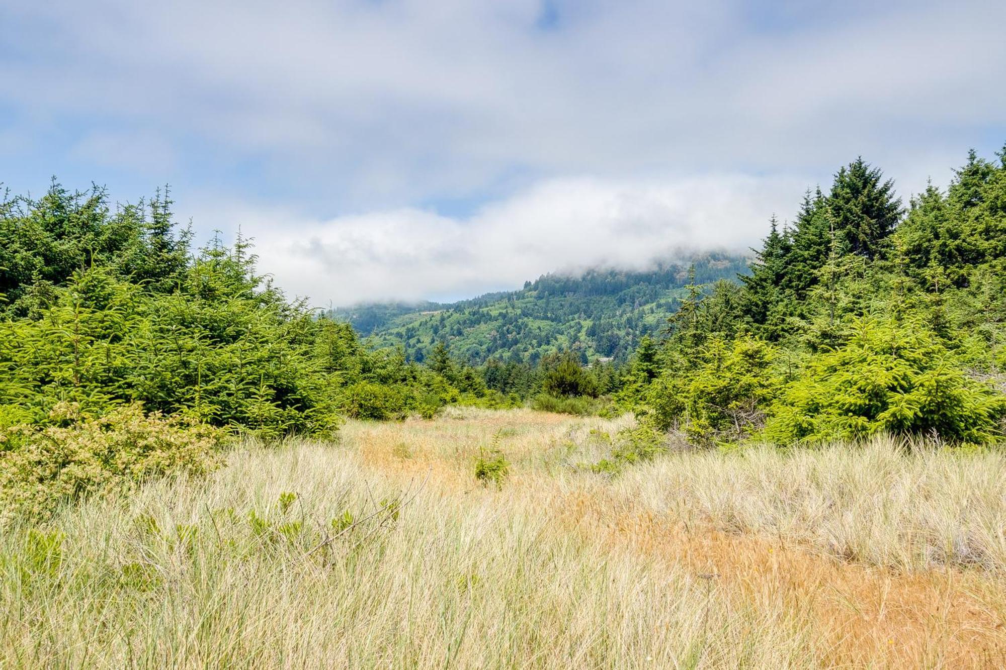 Oceanfront Access! Smith River